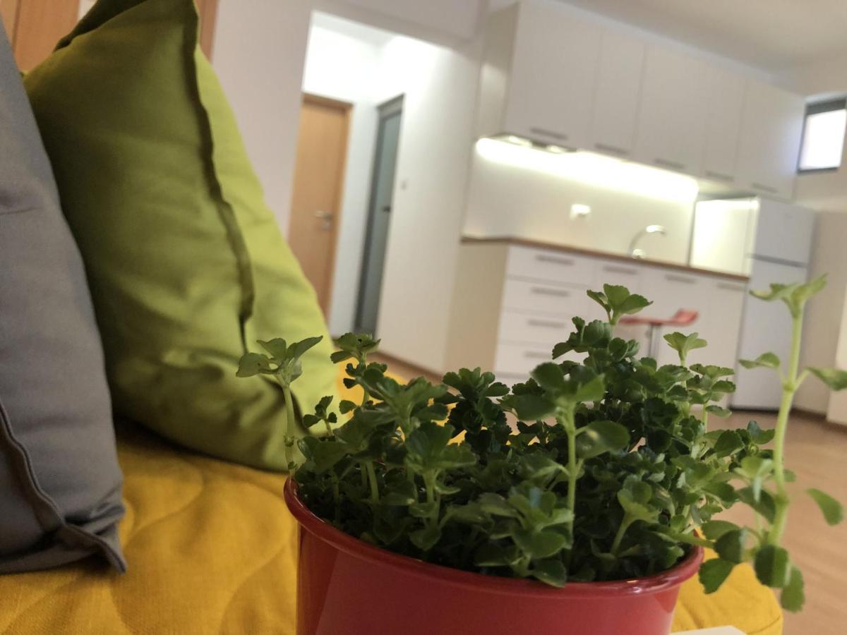Aparthotel Elly Pomorie Eksteriør bilde